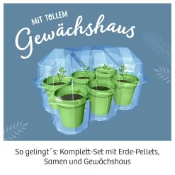 Mimosen-Garten - Alarm auf deiner Fensterbank