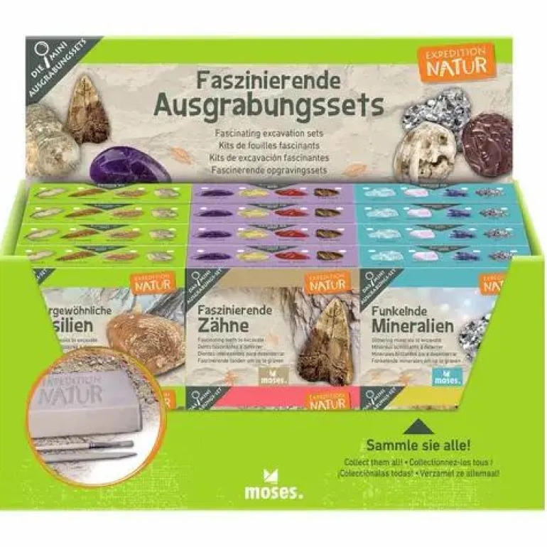 Mini-Ausgrabungssets - Expedition Natur