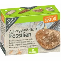 Mini-Ausgrabungssets - Expedition Natur