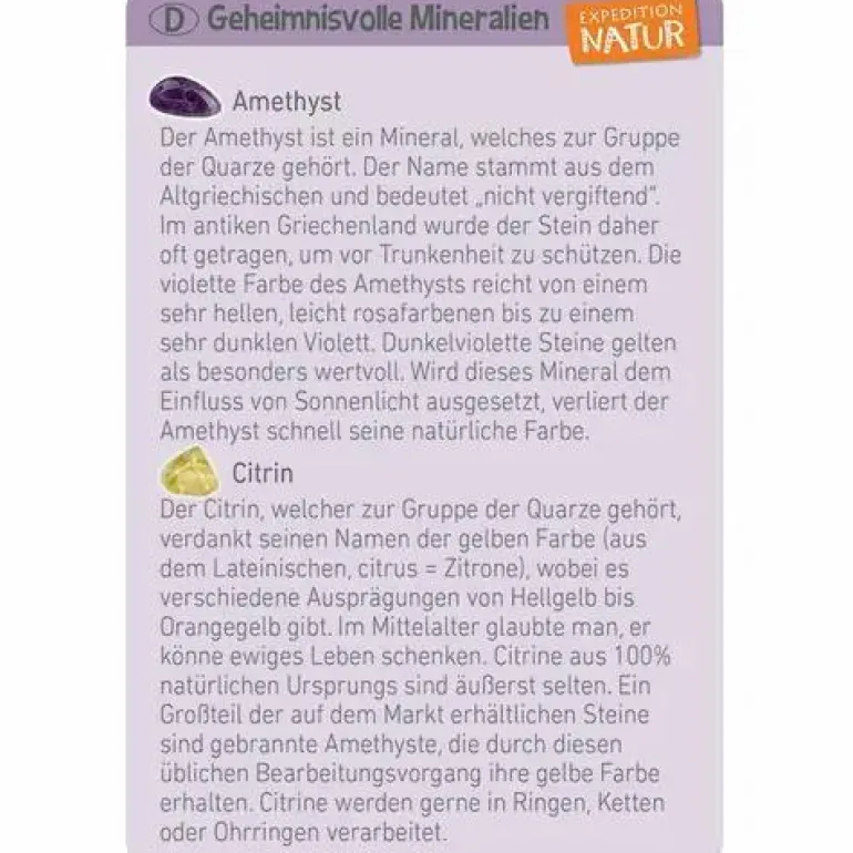 Mini-Ausgrabungssets - Expedition Natur