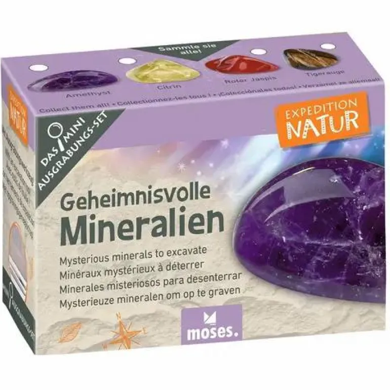 Mini-Ausgrabungssets - Expedition Natur
