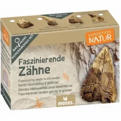 Mini-Ausgrabungssets - Expedition Natur