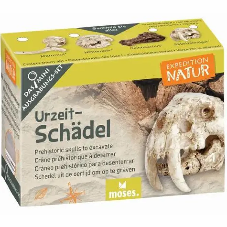 Mini-Ausgrabungssets - Expedition Natur