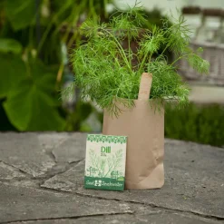 Minigarten Dill