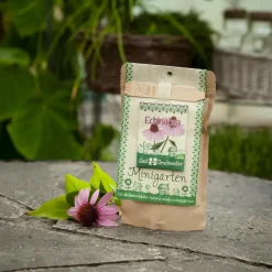 Minigarten Echinacea