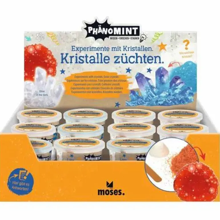 PhänoMINT - Kristalle züchten