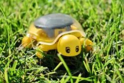 PhänoMINT - Solar-Schildkröte