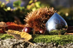 Pillendose Chestnut