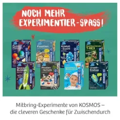 Piraten-Schatz - Grabe funkelnde Edelsteine und Mü