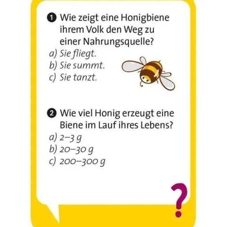 Pocket Quiz junior Unglaublich