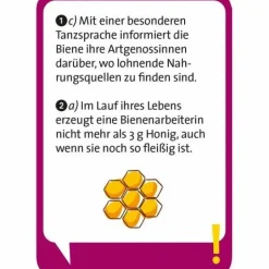 Pocket Quiz junior Unglaublich
