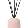 Raumduft Set -FRAGA- rose dust