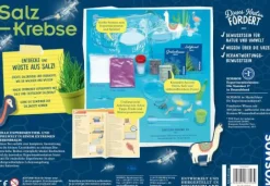Salzkrebse - Überlebenskünstler in der Wüste