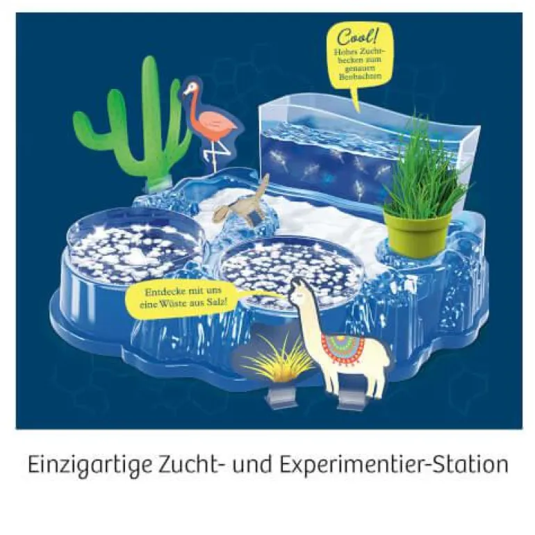 Salzkrebse - Überlebenskünstler in der Wüste
