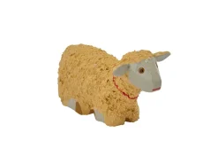 Schaf, liegend