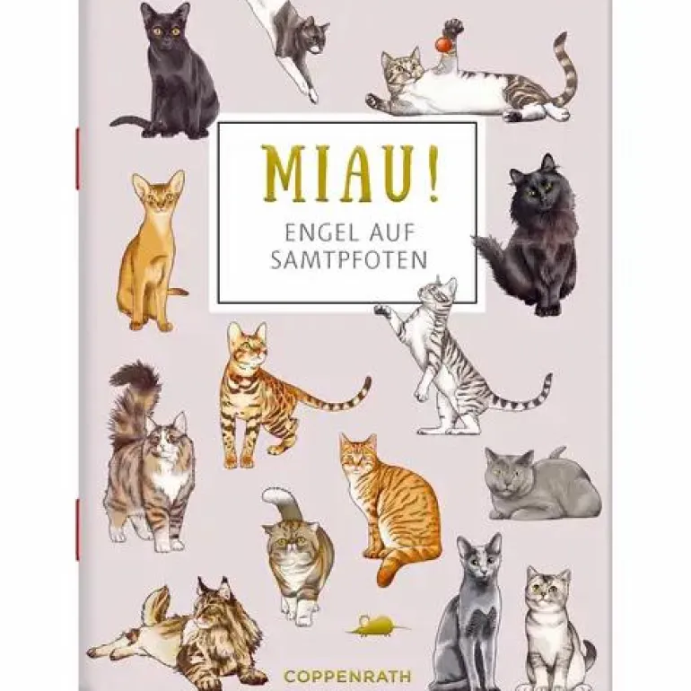 Schöne Grüße Miau! - Engel Auf Samtpfoten