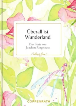 Schöner lesen! No. 41: Überall ist Wunderland (Rin