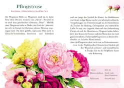 Schöner lesen! No.42: Farbenpracht & Blütenzauber