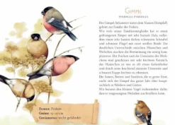 Schöner lesen! No.43: Gezwitscher & Flügelschlag -