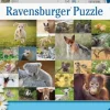Süße Tierbabys - Puzzle 200 Teile