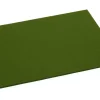 Set 45x35cm Olive 24