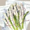 SPARGEL Lunch-Servietten L 954600
