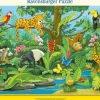 Tiere im Regenwald - Rahmenpuzzle 11 Teile