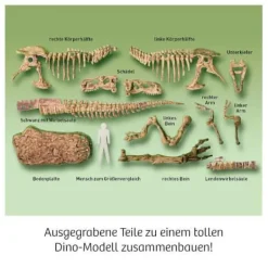 T-REX - 3D - T-REX-Skelett zum Ausgraben
