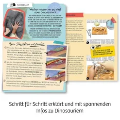 T-REX - 3D - T-REX-Skelett zum Ausgraben