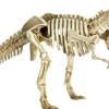 T-Rex World - Ausgrabungs-& Gips-Set T-Rex