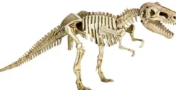 T-Rex World - Ausgrabungsset T-Rex