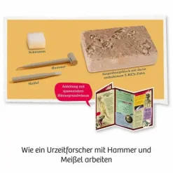 T-REX-Zahn - 12 cm langer Zahn zum Ausgraben
