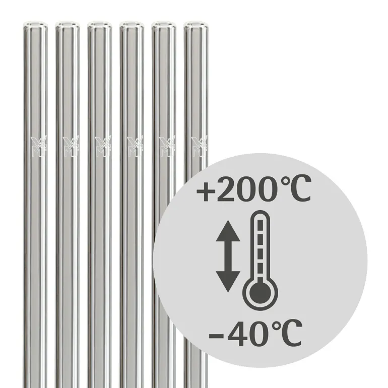 Trinkhalm-Set Baric Glas 6-teilig mit Reinigungsbü