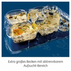 Triops-Welt - Leben aus der Urzeit