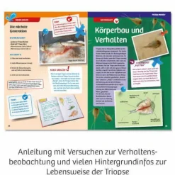 Triops-Welt - Leben aus der Urzeit