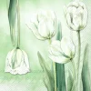 TULIPANA green Lunch-Servietten L 986620