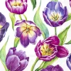 TULIP MEADOW white Cocktail-Servietten C 987190