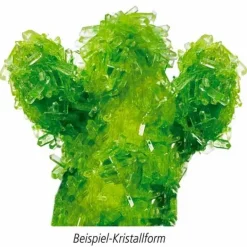 Wild & Cool - Kristalle selber züchten Kreativ-Box