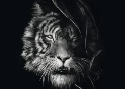 Wilderness, Tiger, Im Zeichen der Freiheit - Puzzl